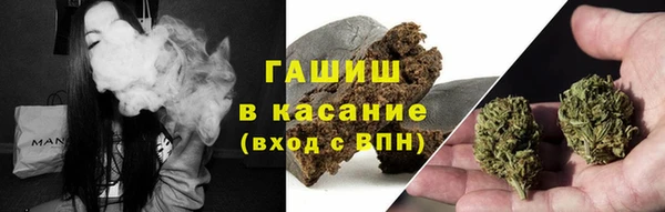 стаф Богородск