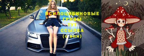 соль ск Протвино